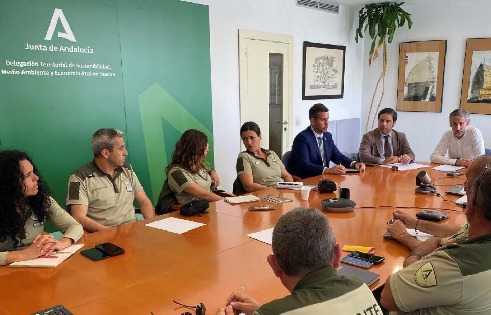 Nueva campaña para la conservación del aguilucho cenizo en Huelva