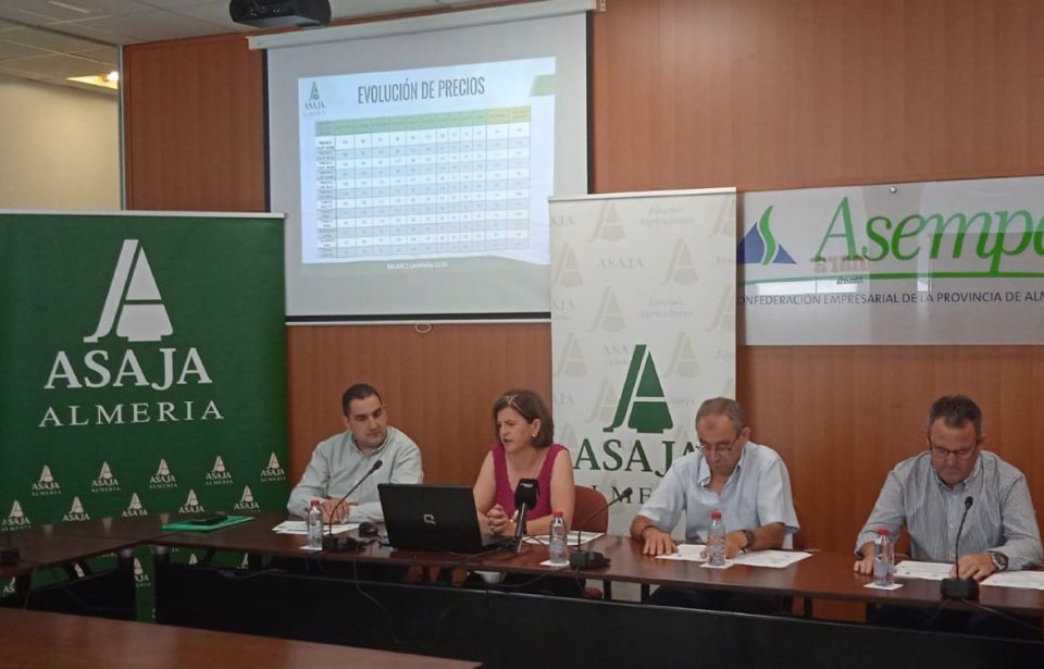 Asaja calcula una caída del 22% del valor de la producción hortofrutícola pese a crecer un 14% en esta campaña (Almería)