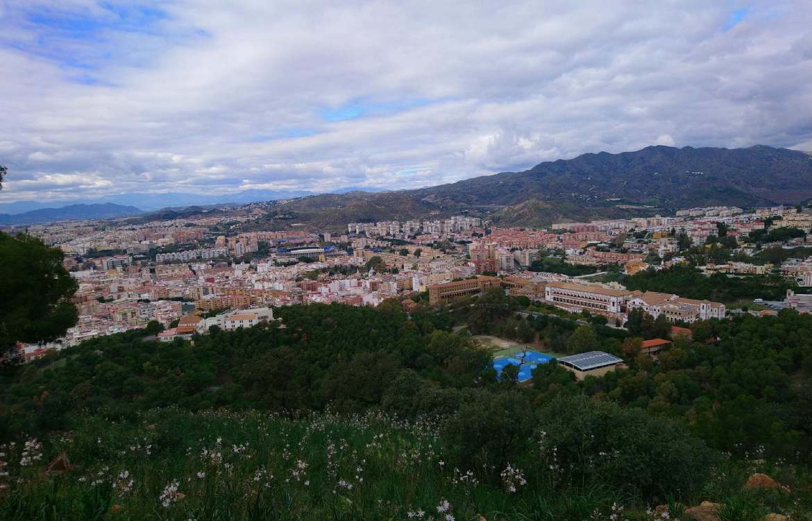 Bosque Paraíso, ruta de senderismo en Málaga