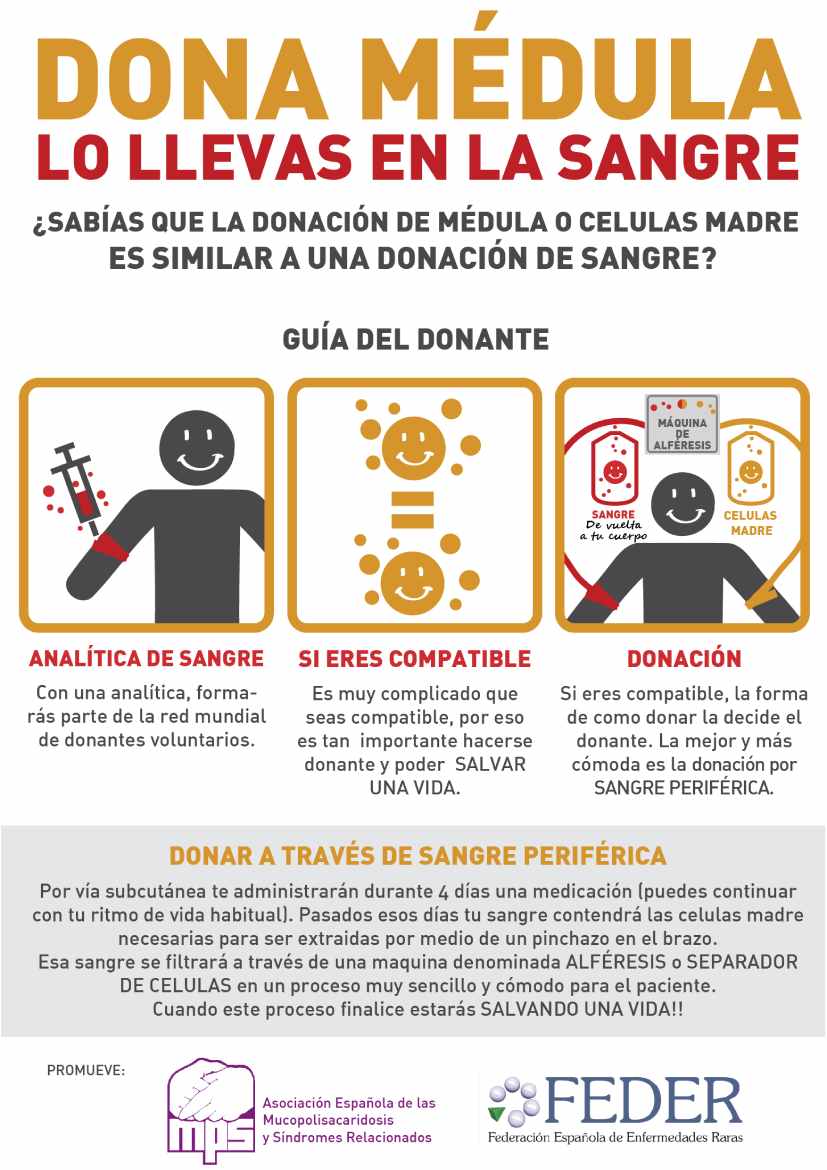 Donación de Médula