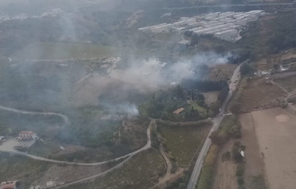 Declarado un incendio en una zona de cañaveral del municipio de Manilva.