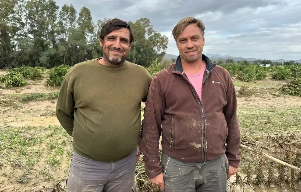 Así afrontan los agricultores del Guadalhorce las pérdidas por la DANA: “Necesitamos que se declare zona catastrófica”