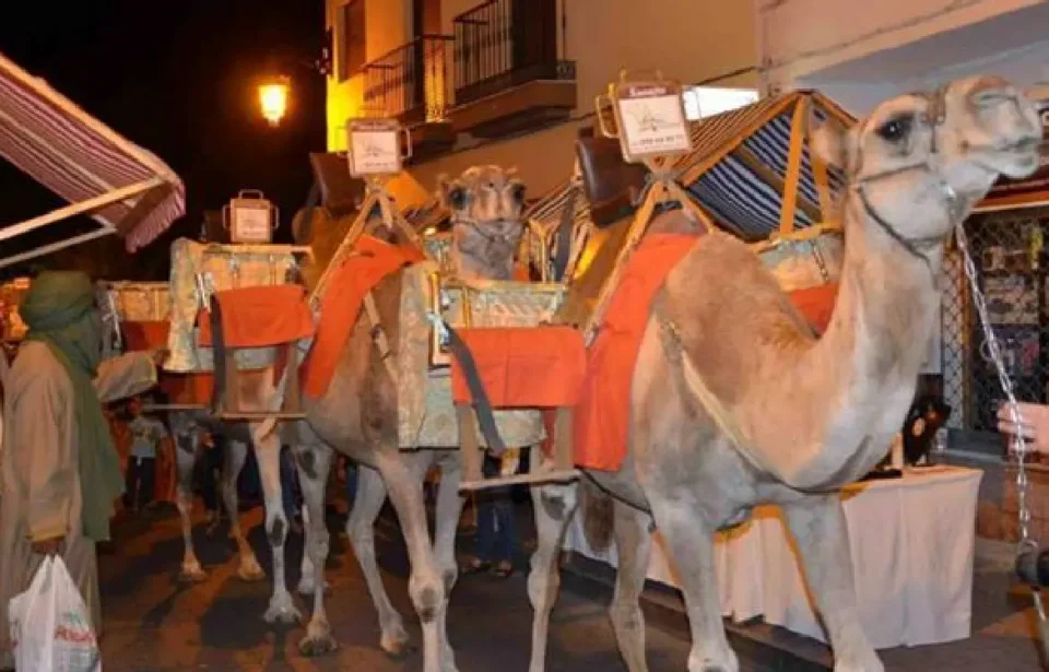 El temor por la lengua azul llega a Cártama: cancelan un desfile de animales procedentes de Huelva