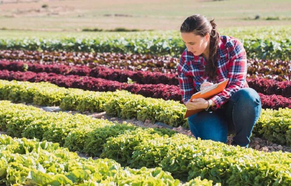 La Junta destina una partida de 130 millones de euros en ayudas para jóvenes agricultores.