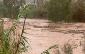 Málaga recoge 200.000 kilos de productos para municipios de la provincia afectados por la DANA